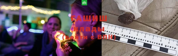 индика Арсеньев