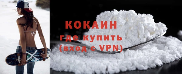 индика Арсеньев