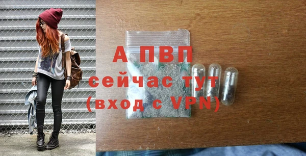 индика Арсеньев