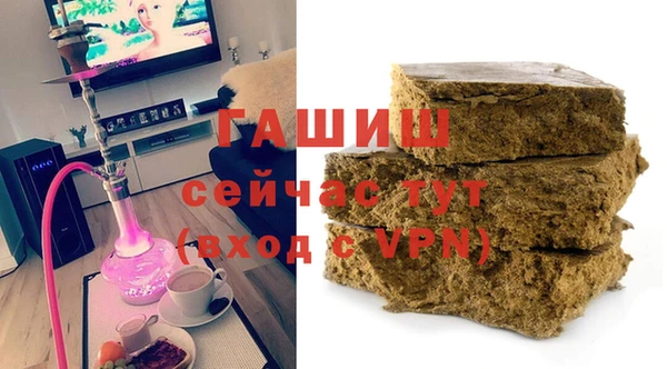 индика Арсеньев