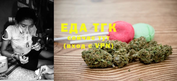 индика Арсеньев