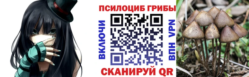 магазин продажи   даркнет клад  Псилоцибиновые грибы GOLDEN TEACHER  Рудня 